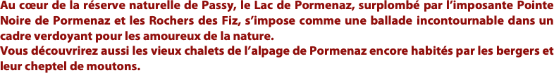 Au cœur de la réserve