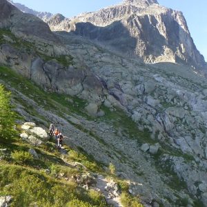 3 cols J4 (7) 3 cols J4 (7)