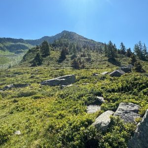 Le Peclerey (13) Le Peclerey (13)
