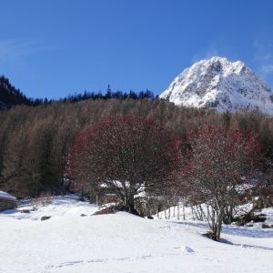 Les Granges (2) Les Granges (2)