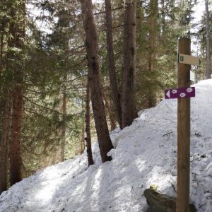 Les Granges (4) Les Granges (4)