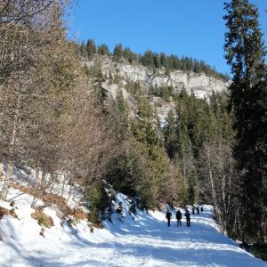 Raquettes Plaine-Joux (3) Raquettes Plaine-Joux (3)