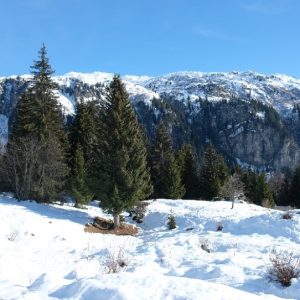 Raquettes Plaine-Joux (4) Raquettes Plaine-Joux (4)