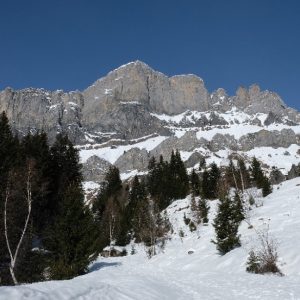 Raquettes Plaine-Joux (6) Raquettes Plaine-Joux (6)