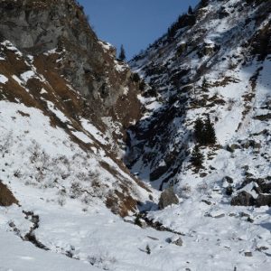 Raquettes Plaine-Joux (7) Raquettes Plaine-Joux (7)