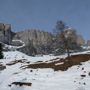 Raquettes Plaine-Joux (9) Raquettes Plaine-Joux (9)
