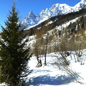 Val Ferret (4) Val Ferret (4)