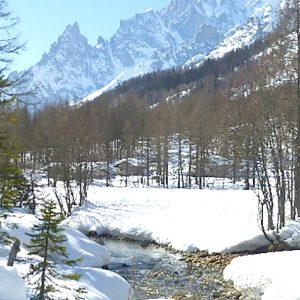 Val ferret (8) Val ferret (8)