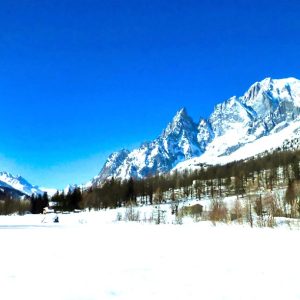 bonatti (2) bonatti (2)