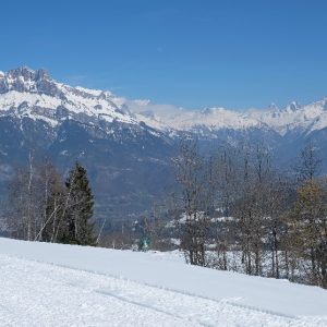 les-charnes-1 les-charnes-1