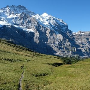 05 Jungfrau (2) 05 Jungfrau (2)