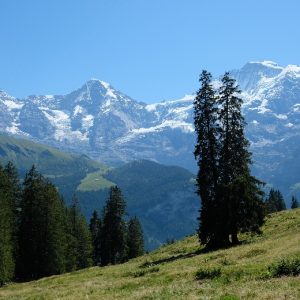 08 Murren 01 08 Murren 01