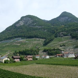 Alpes vaudoises (1) Alpes vaudoises (1)