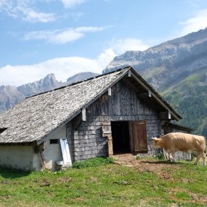 Alpes vaudoises (6) Alpes vaudoises (6)