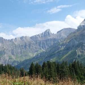 Alpes vaudoises (7) Alpes vaudoises (7)