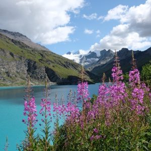 Cabane Moiry (17) Cabane Moiry (17)