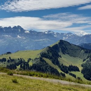 Chatel (3) Chatel (3)
