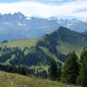 Chatel (5) Chatel (5)