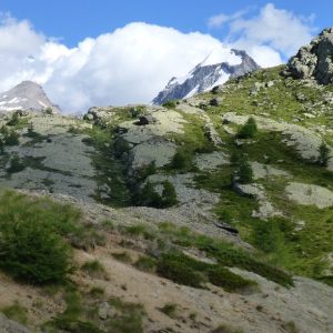 Col Nivolet (16) Col Nivolet (16)