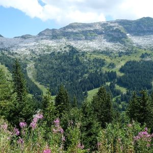 Lac Gers (12) Lac Gers (12)