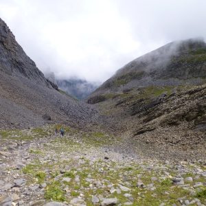 Rambert Setection (14) Rambert Setection (14)