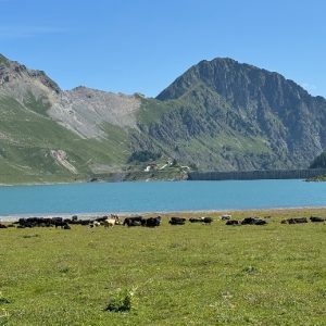 Salanfe (9) Salanfe (9)