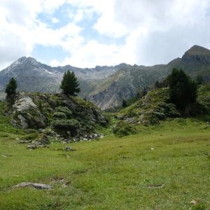 lac de Loie (10) lac de Loie (10)